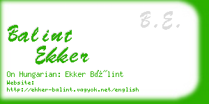 balint ekker business card